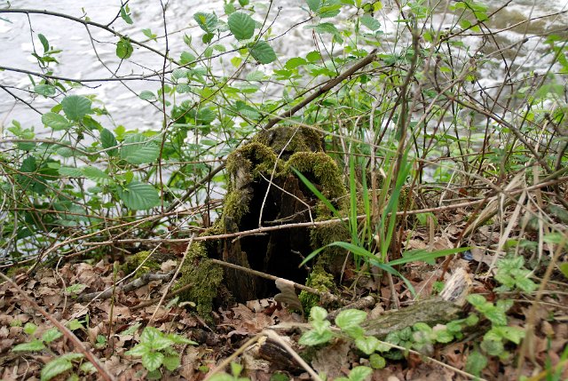 landgoed zevenberg_40